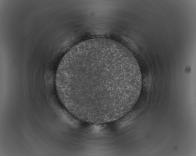 X0000092100662200710101123