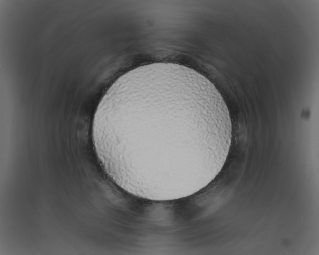 X0000092100664200710101123