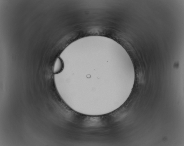 X0000092100665200710101123