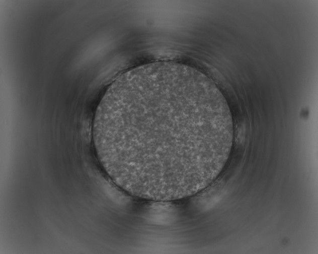 X0000092100666200710101123