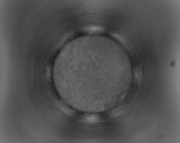 X0000092100667200710101123