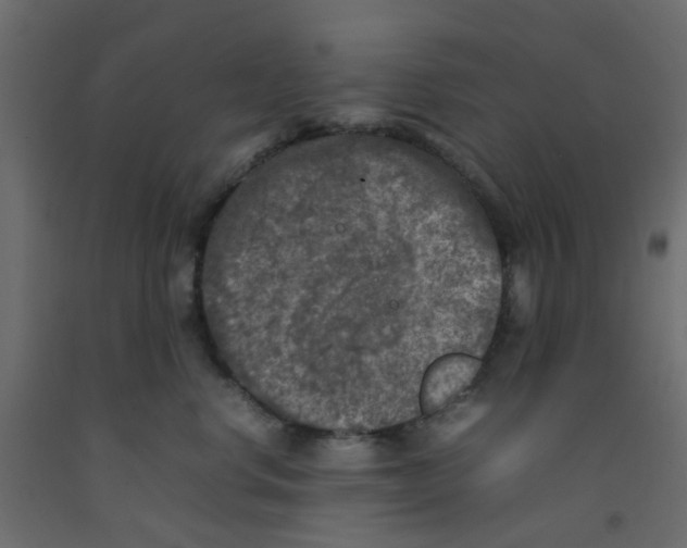 X0000092100668200710101123