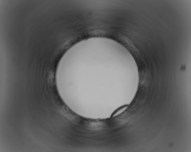 X0000092100669200710101123