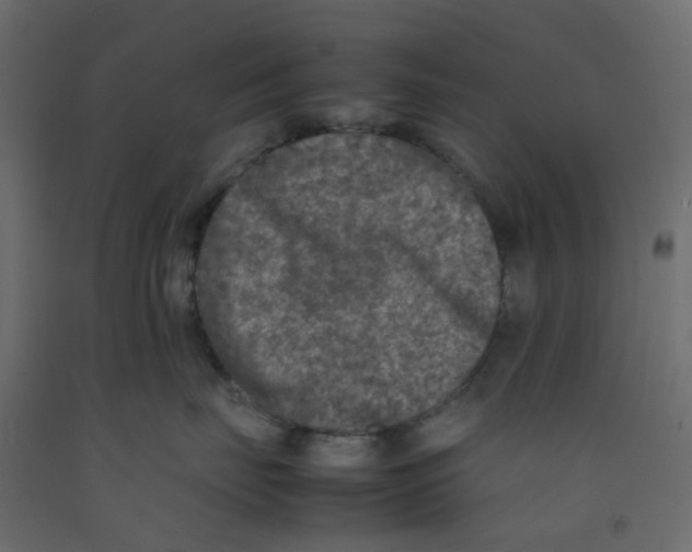 X0000092100671200710101123