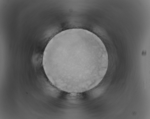 X0000092100672200710101123