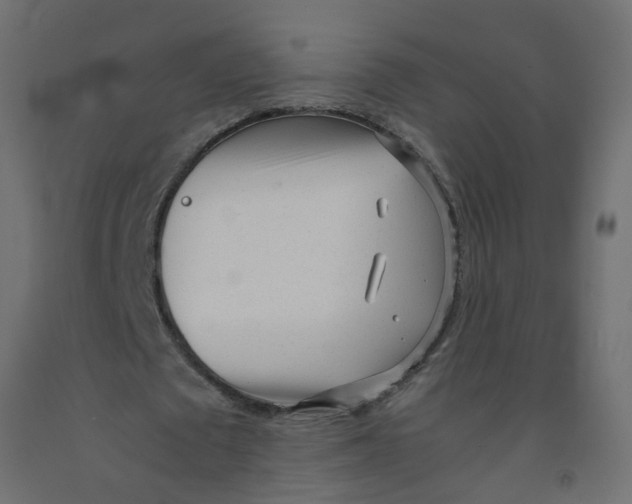 X0000092100673200710101122