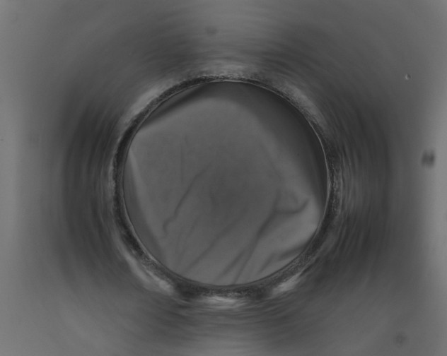 X0000092100674200710101122