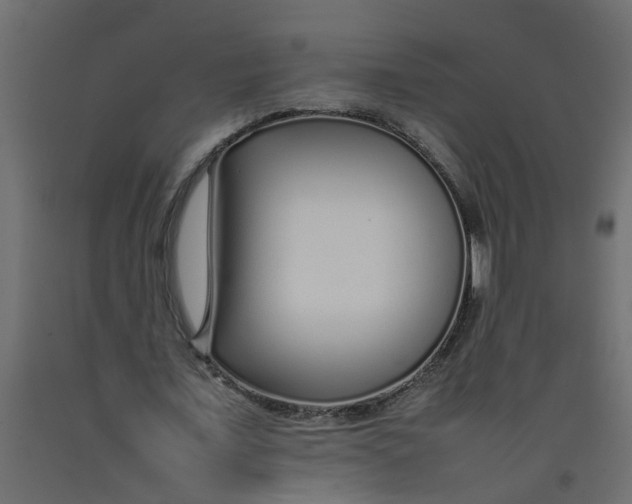 X0000092100675200710101122