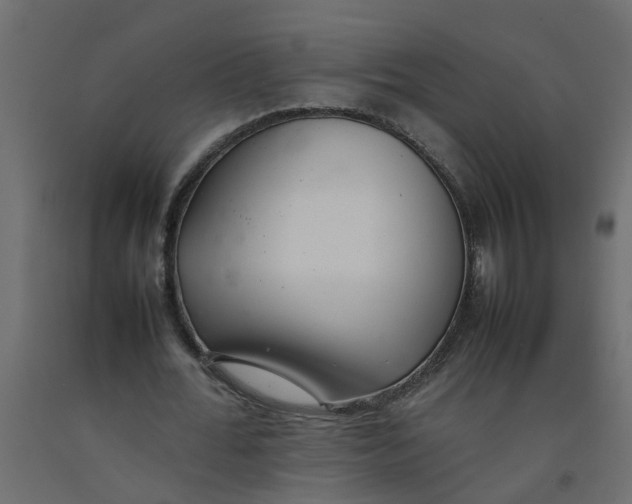 X0000092100676200710101122