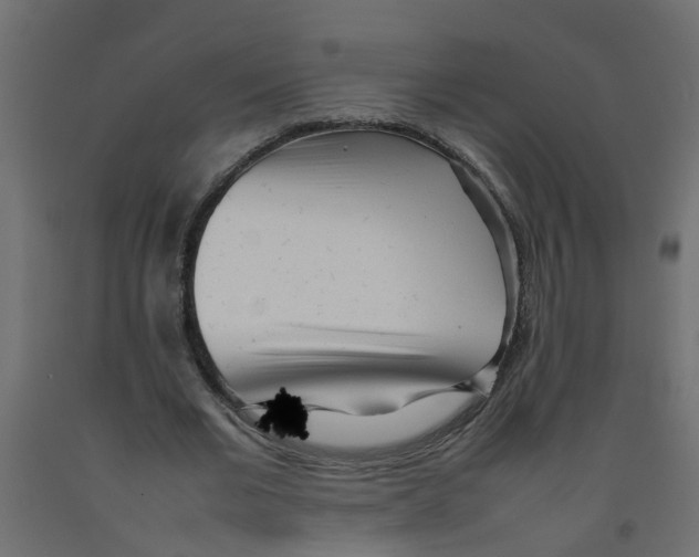 X0000092100677200710101122