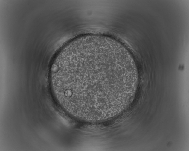 X0000092100679200710101122