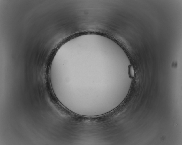 X0000092100680200710101122