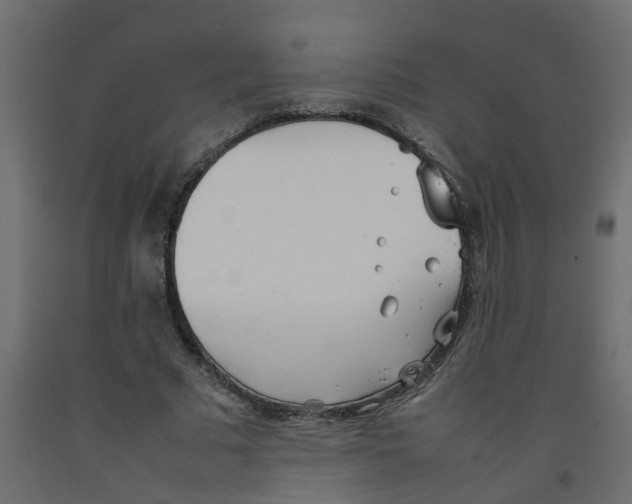 X0000092100681200710101122