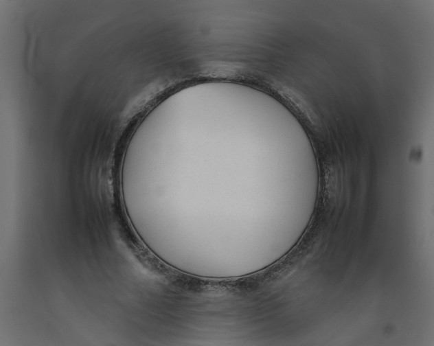 X0000092100682200710101122