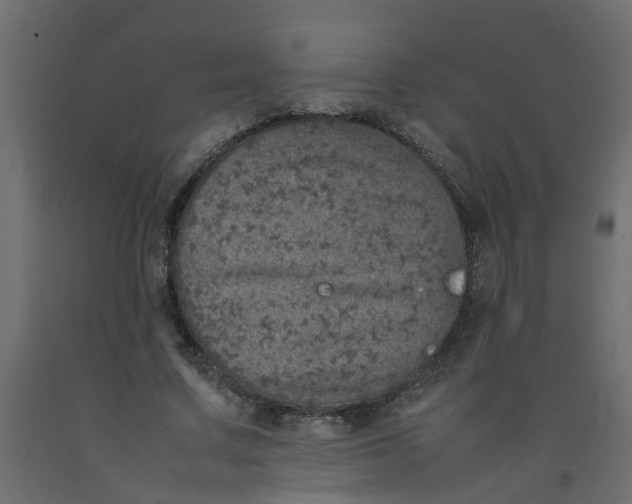 X0000092100683200710101122