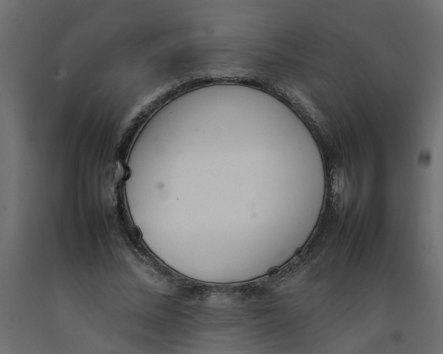 X0000092100684200710101122