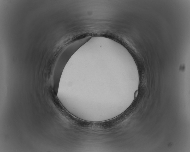 X0000092100685200710101122