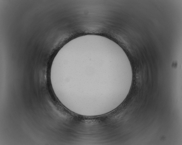 X0000092100686200710101122