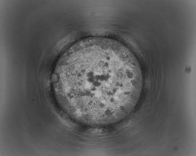 X0000092100687200710101122