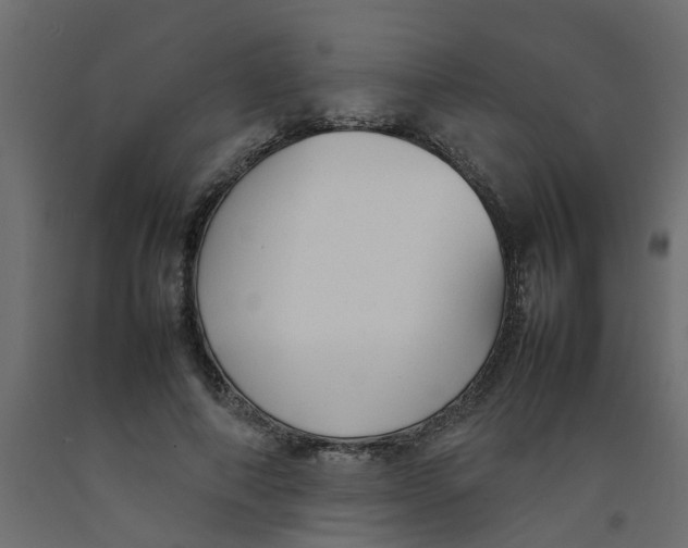 X0000092100690200710101122