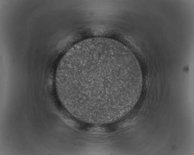 X0000092100691200710101122