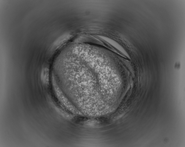 X0000092100696200710101122