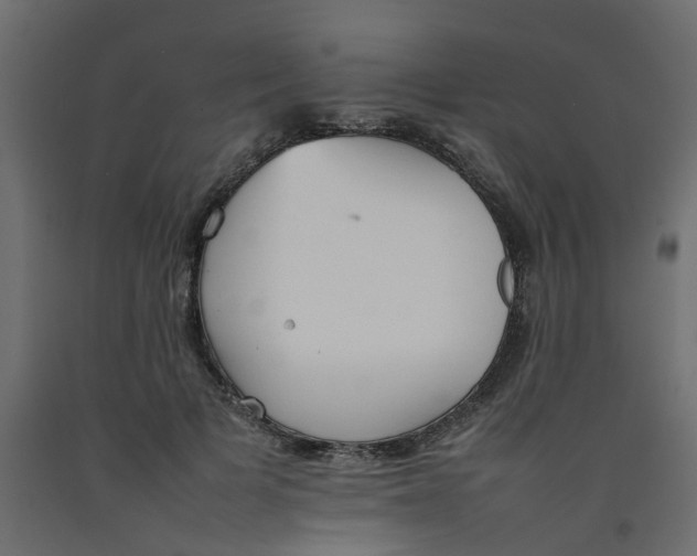 X0000092100697200710101122