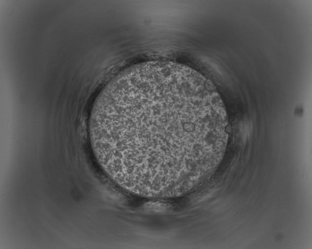 X0000092100699200710101122