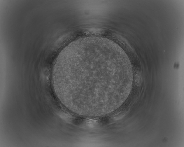 X0000092100701200710101122