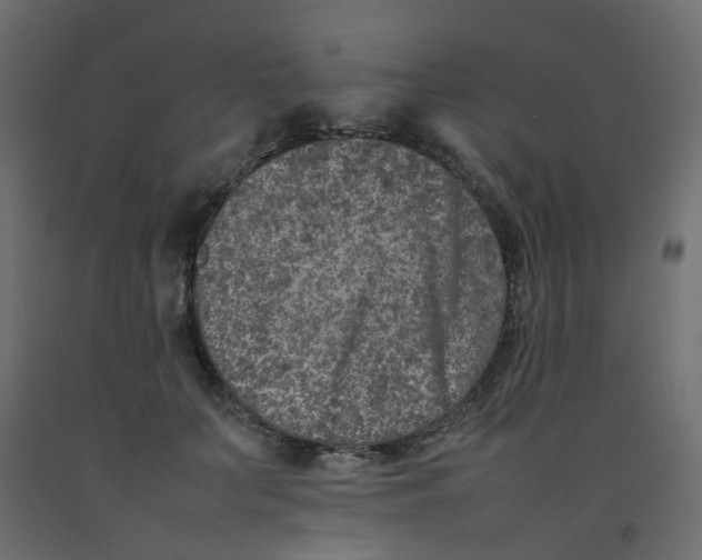 X0000092100703200710101122