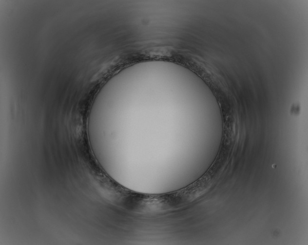 X0000092100704200710101122