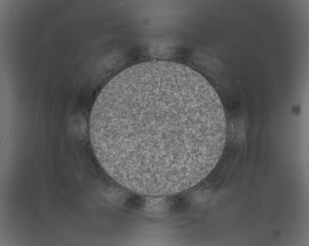 X0000092100705200710101122