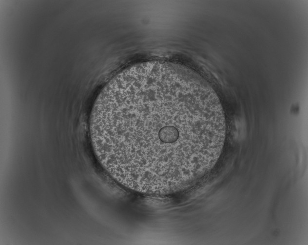 X0000092100707200710101122