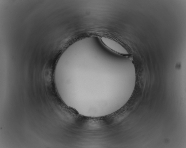 X0000092100708200710101122