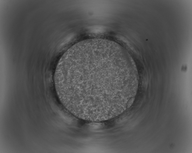 X0000092100711200710101122