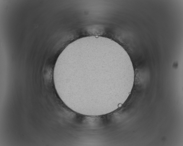 X0000092100713200710101122