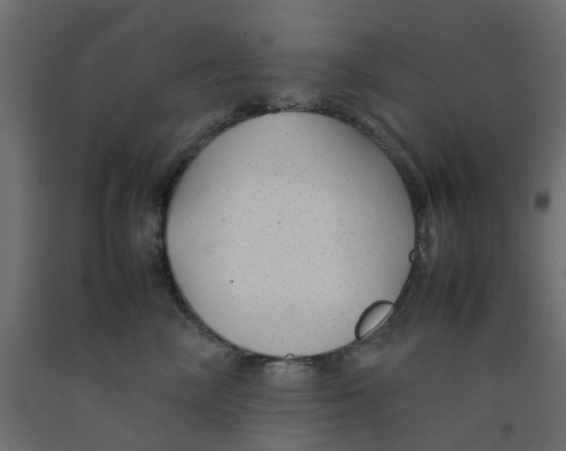 X0000092100714200710101122