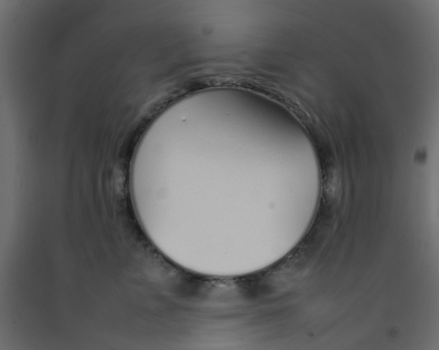 X0000092100715200710101122