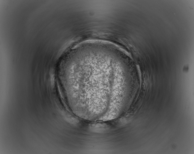 X0000092100716200710101122