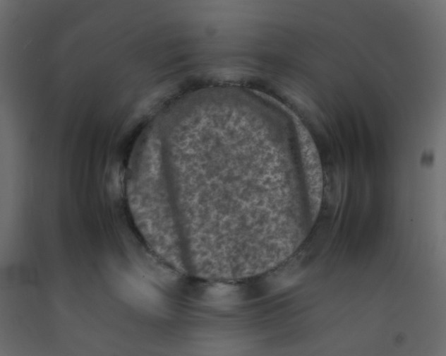 X0000092100718200710101122