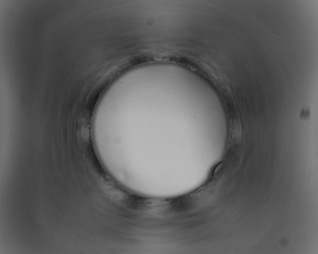 X0000092100719200710101122