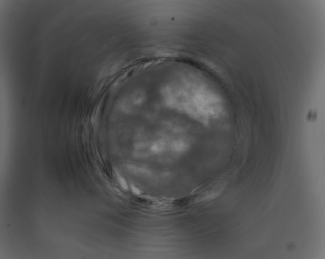 X0000092100720200710101122