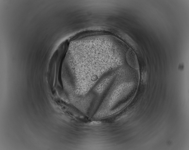 X0000092100724200710101121