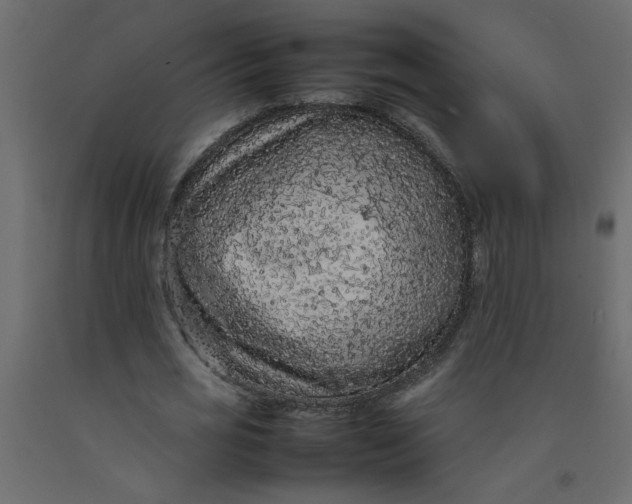 X0000092100725200710101121