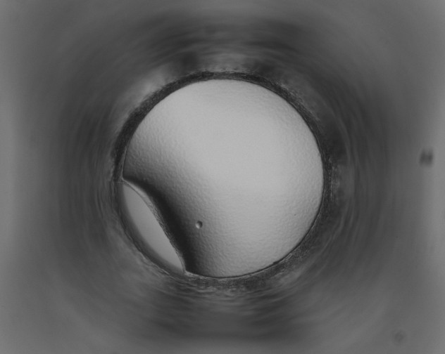 X0000092100727200710101121