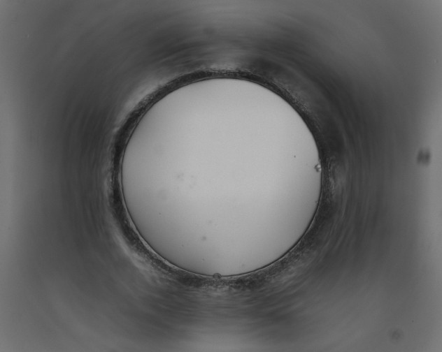 X0000092100728200710101121