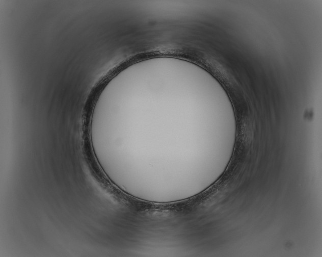 X0000092100730200710101121