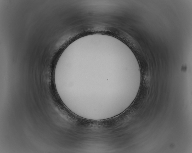 X0000092100732200710101121