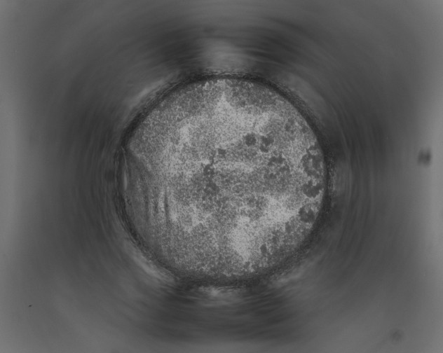 X0000092100733200710101121