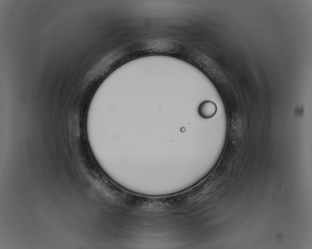 X0000092100734200710101121